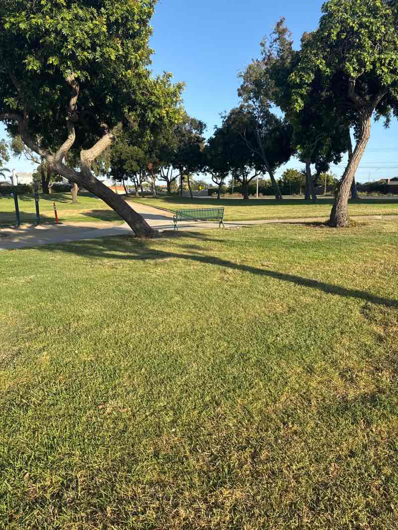 walking near me in Sunnyglen Park in spring