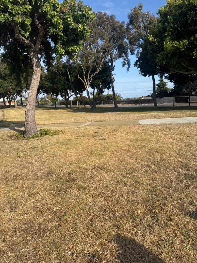 walking near me in Sunnyglen Park in spring