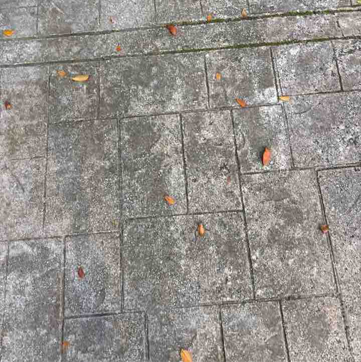 Pemburu Langit post 1