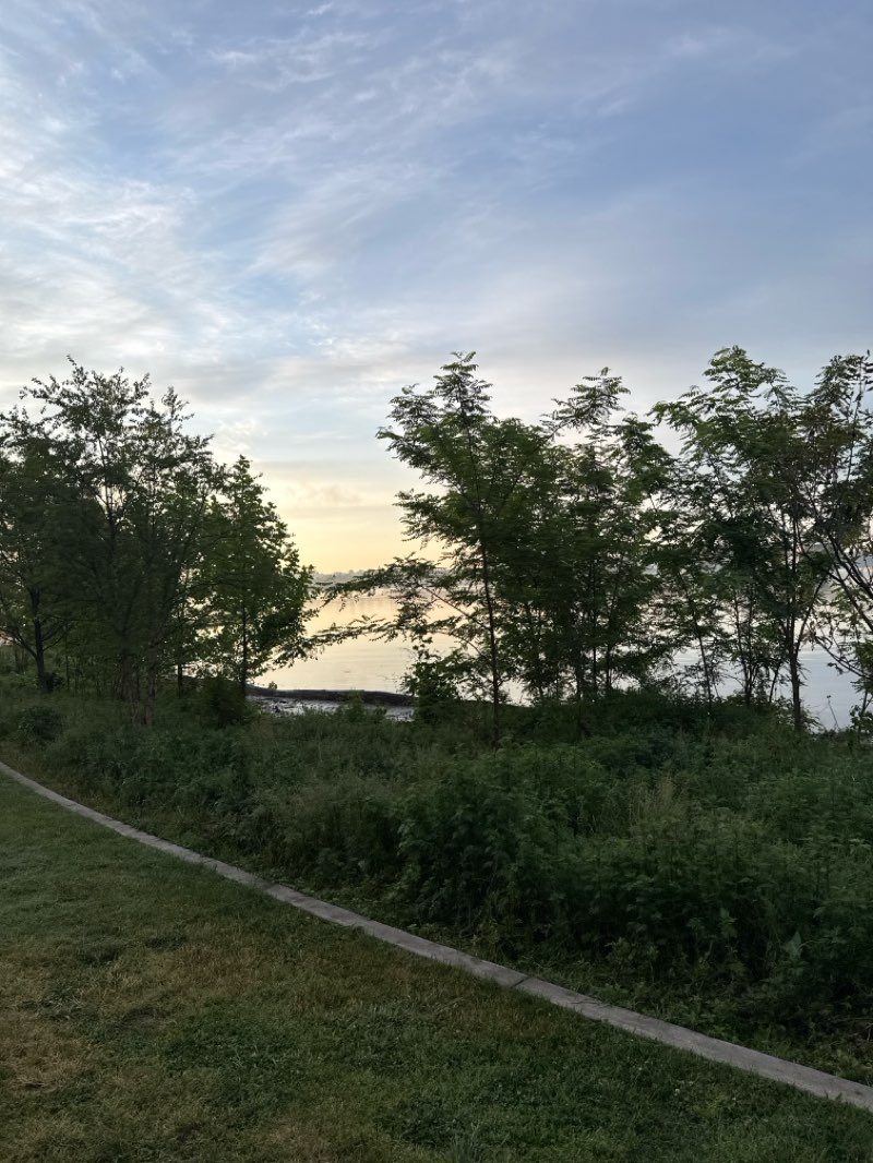 walking near me in Shipyard Park in spring