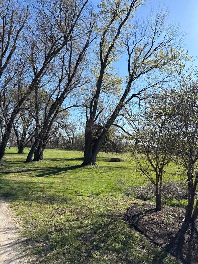 walking near me in Jones Point Park in spring