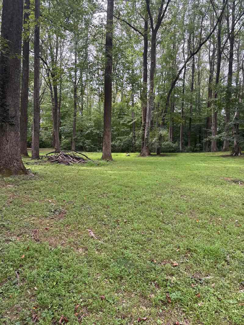 walking near me in Turkey Run Park in summer