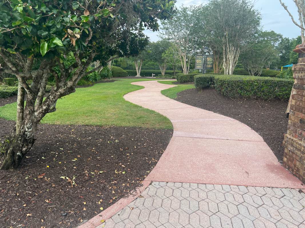 walking near me in Remington Park in spring