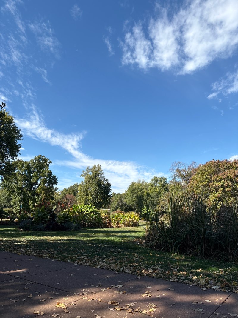 walking near me in Tower Grove Park in autumn