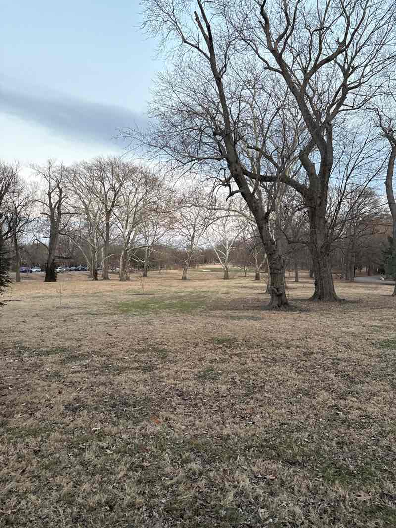walking near me in Tower Grove Park in winter