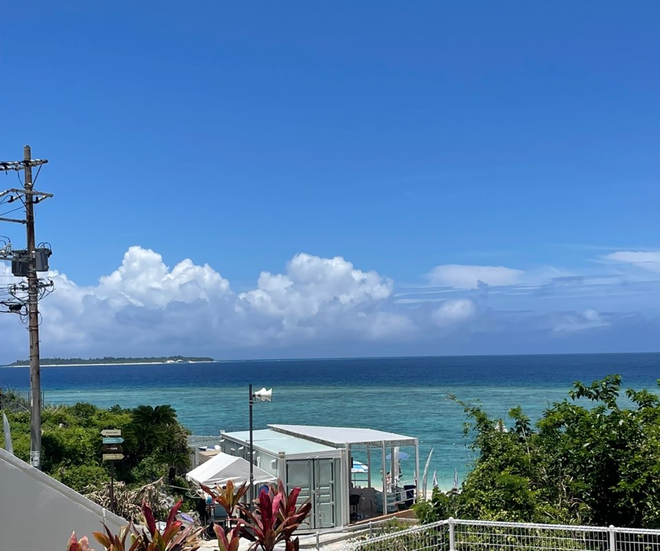 식의약-병태 icon