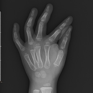 ทรรศน์ - สีส้ม🧡 icon