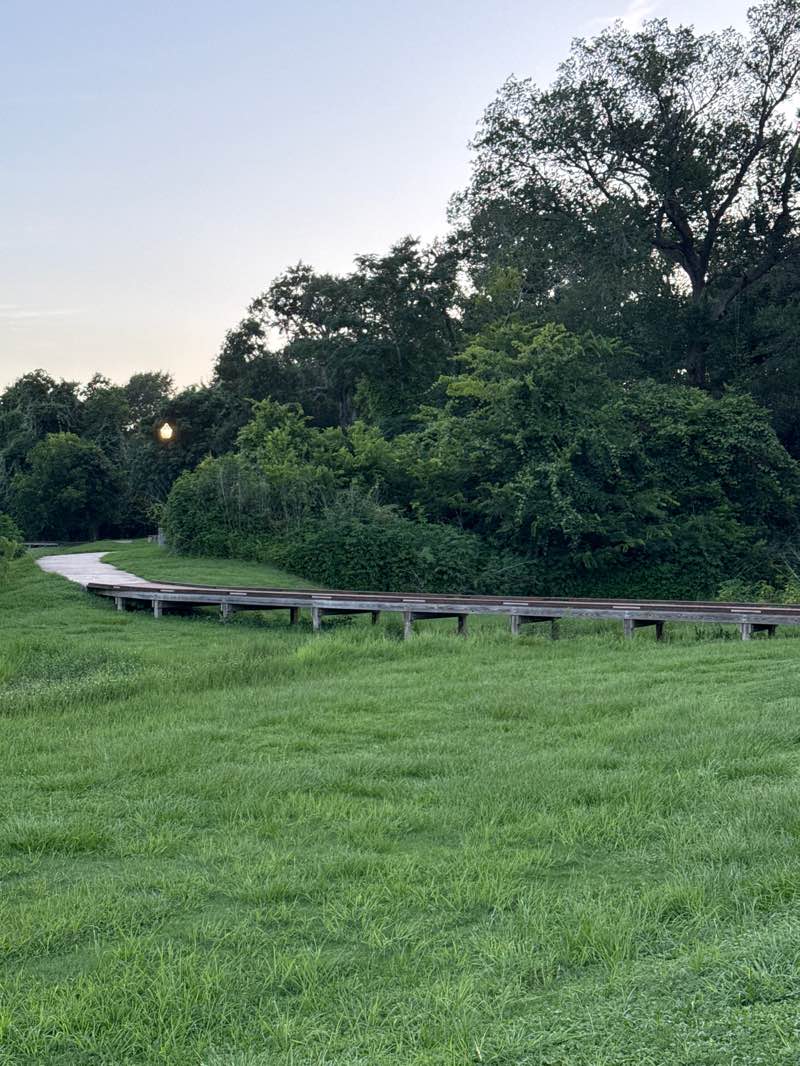 walking near me in Wessendorff Park in summer