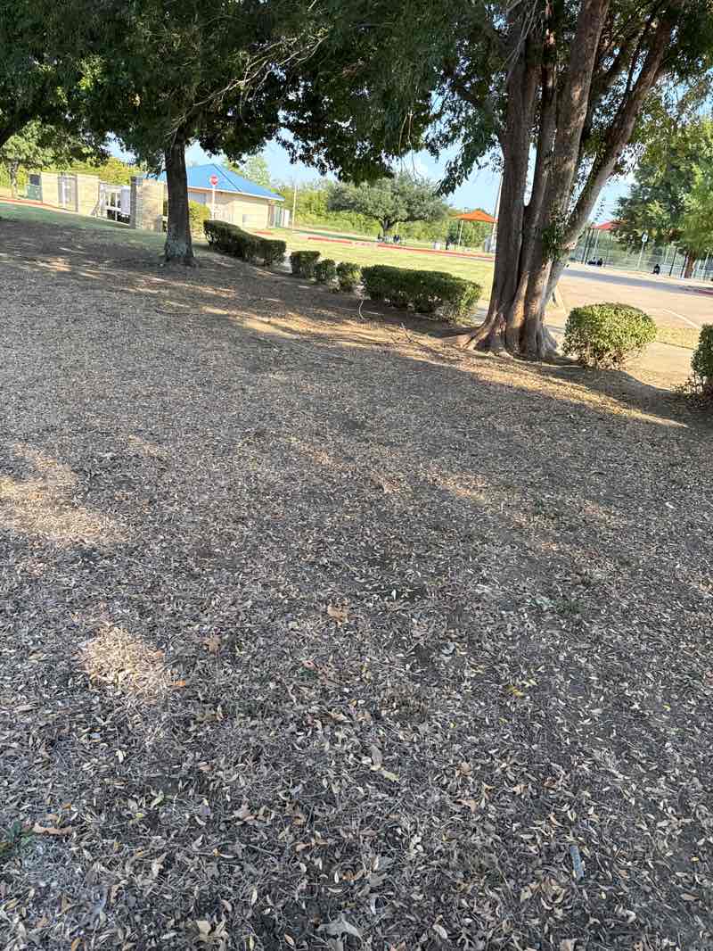 walking near me in Cravens Park in autumn