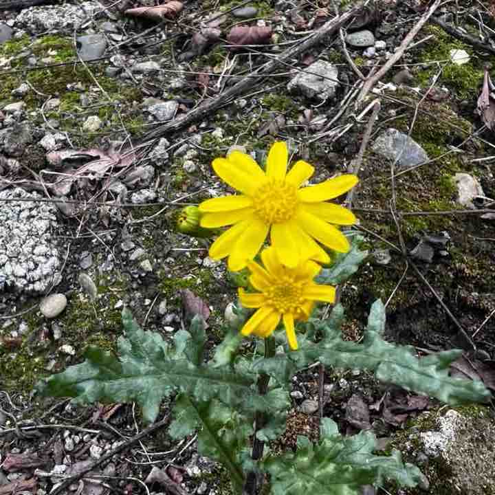 mohammad mahdi post 1