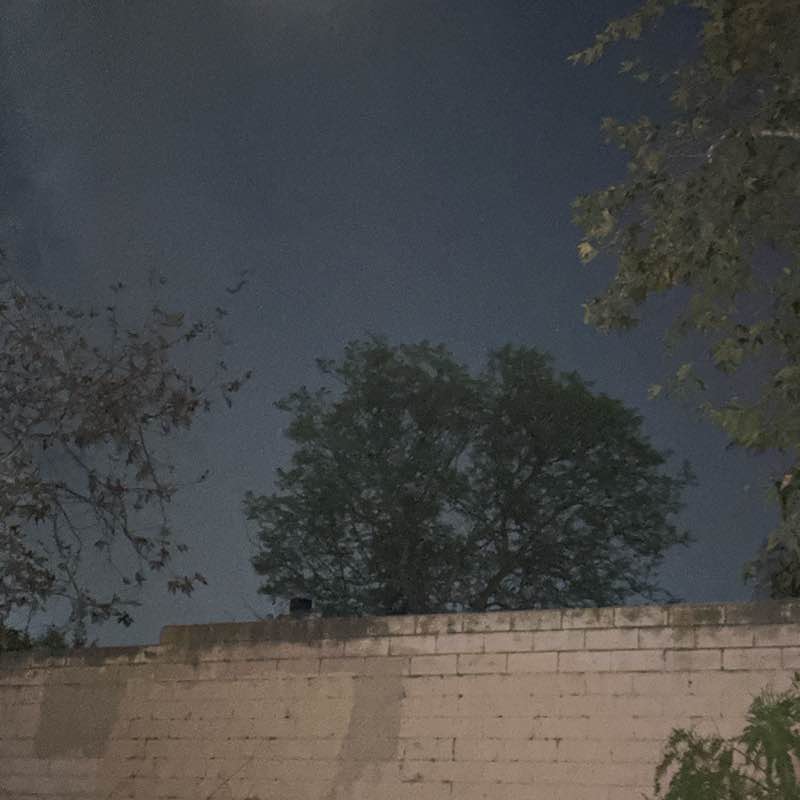 Joseph Herrera post 1