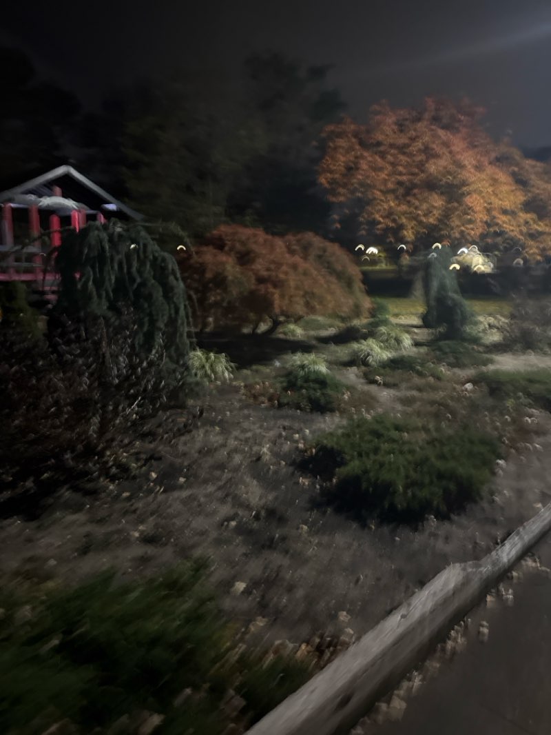 walking near me in Village Green Park in autumn