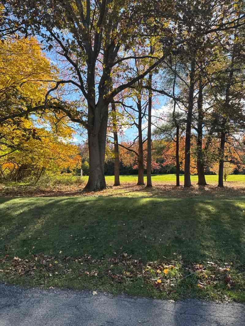 walking near me in William Cullen Bryant Preserve in autumn