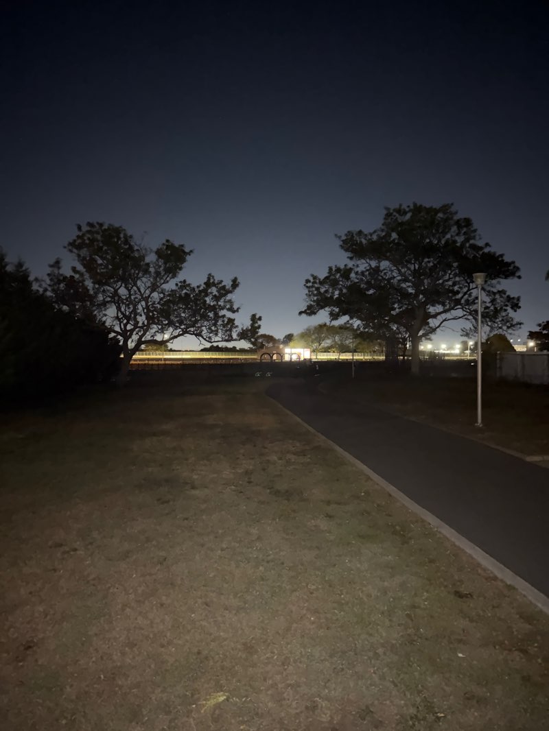 walking near me in Margie Street Park in autumn