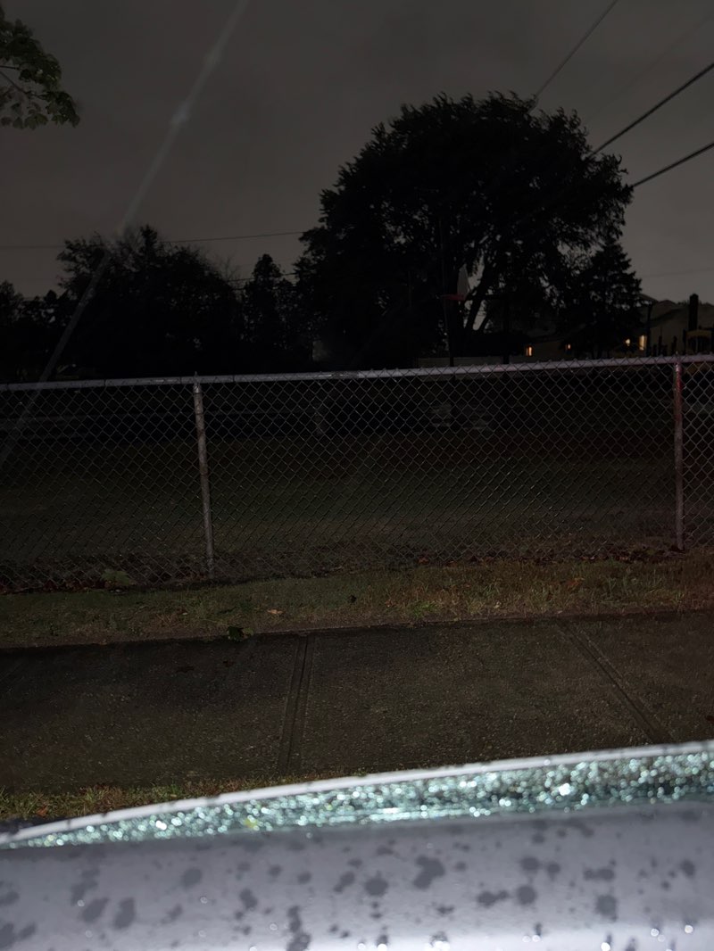 walking near me in Pinetree Park F-5 in autumn