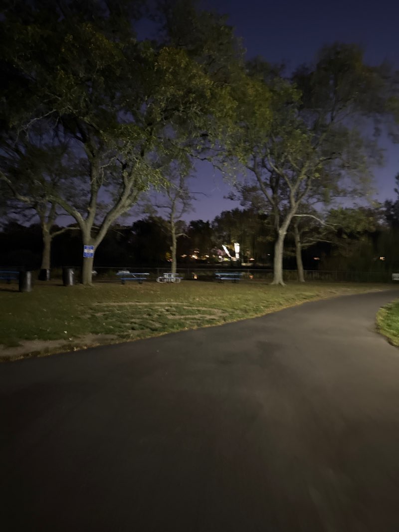 walking near me in Grant Park in autumn