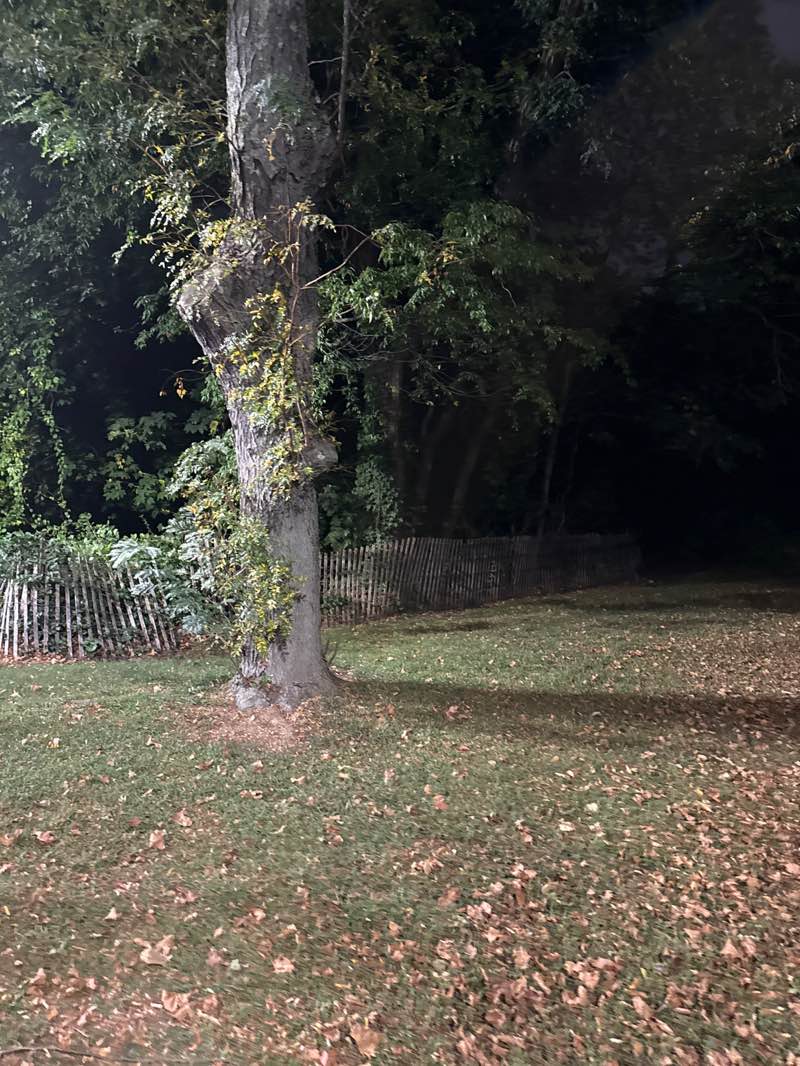 walking near me in Harold Walker Memorial Park in autumn