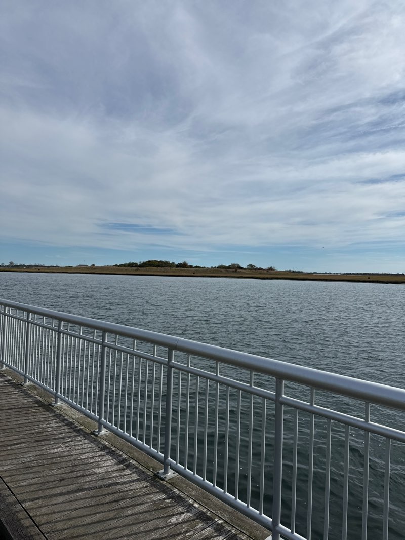 walking near me in Waterfront Park in autumn