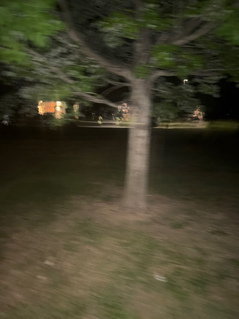 walking near me in East Gate/West Gate in autumn