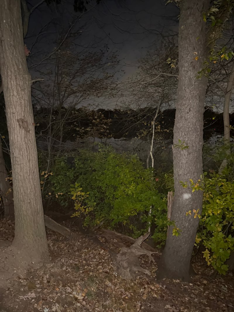 walking near me in Morgan Days Park in autumn