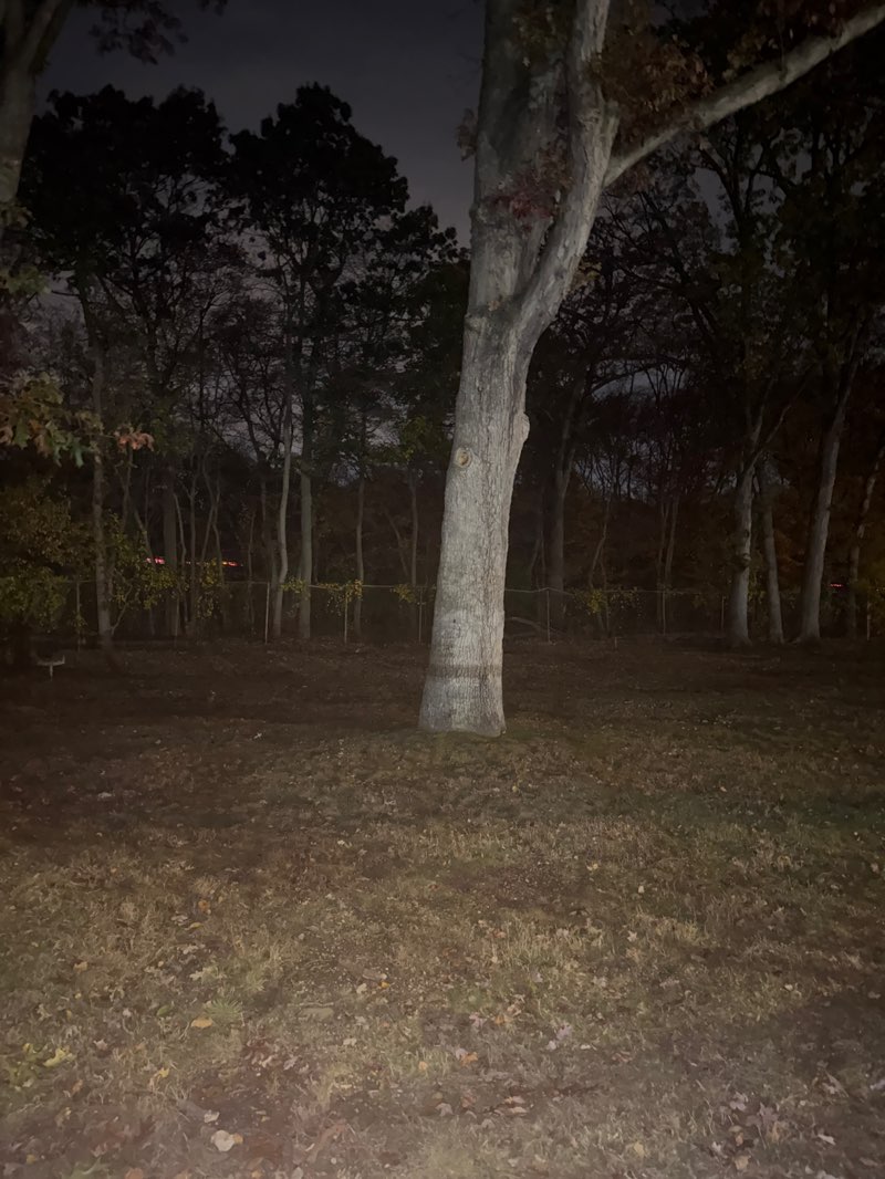 walking near me in Rev Days park in autumn