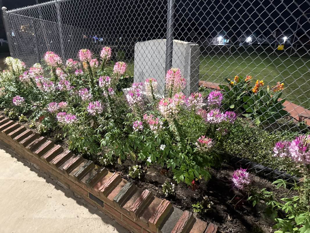 walking near me in Firemens Memorial Field in autumn