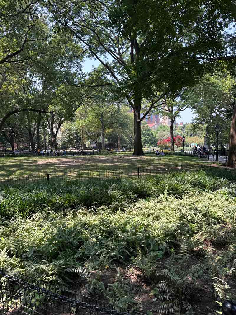 walking near me in Washington Square Park in autumn