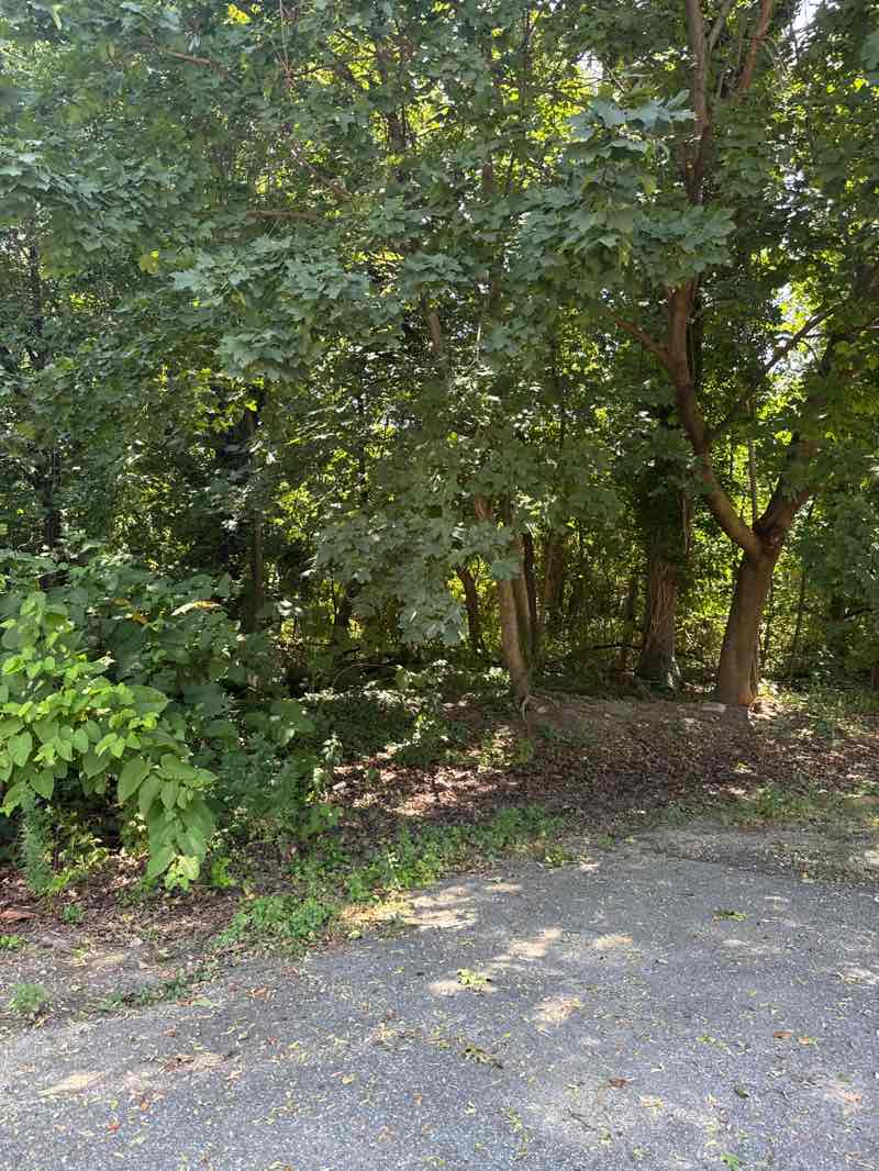 walking near me in Greis Park in autumn