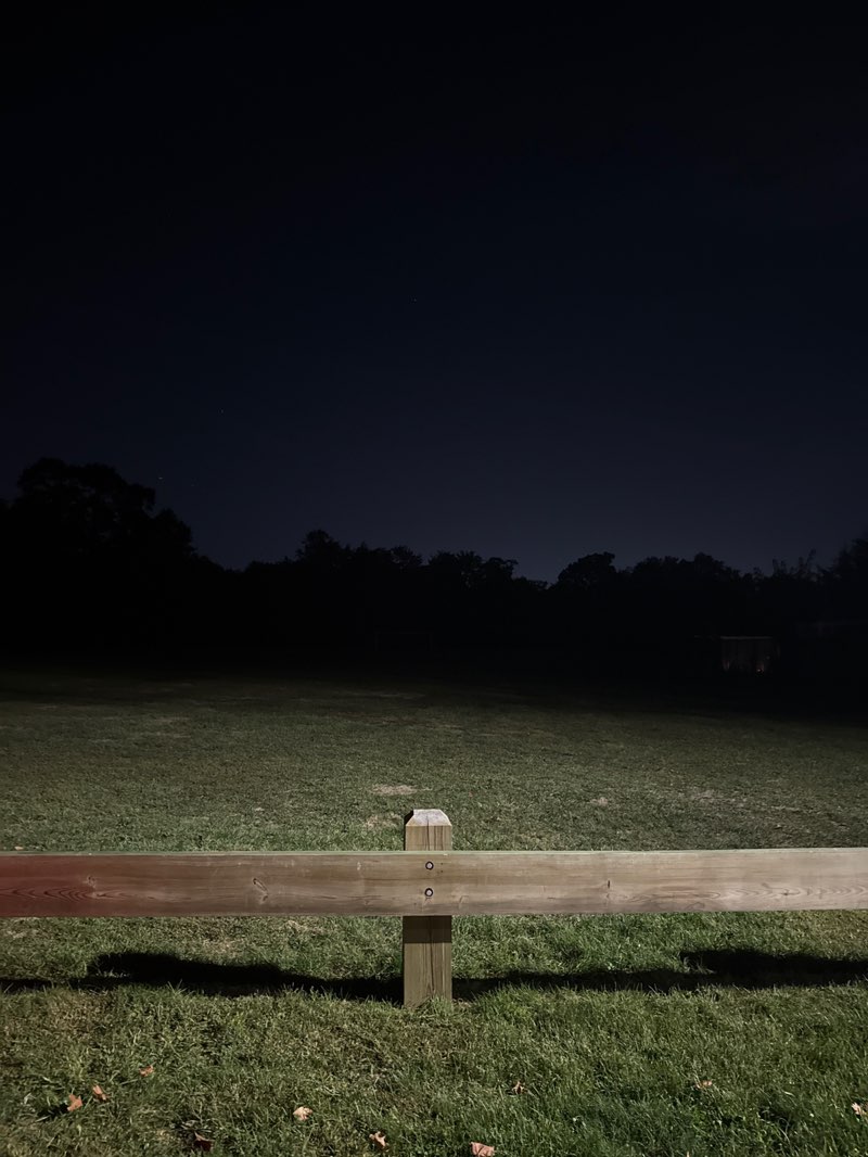 walking near me in Parkway Lawns Park in autumn