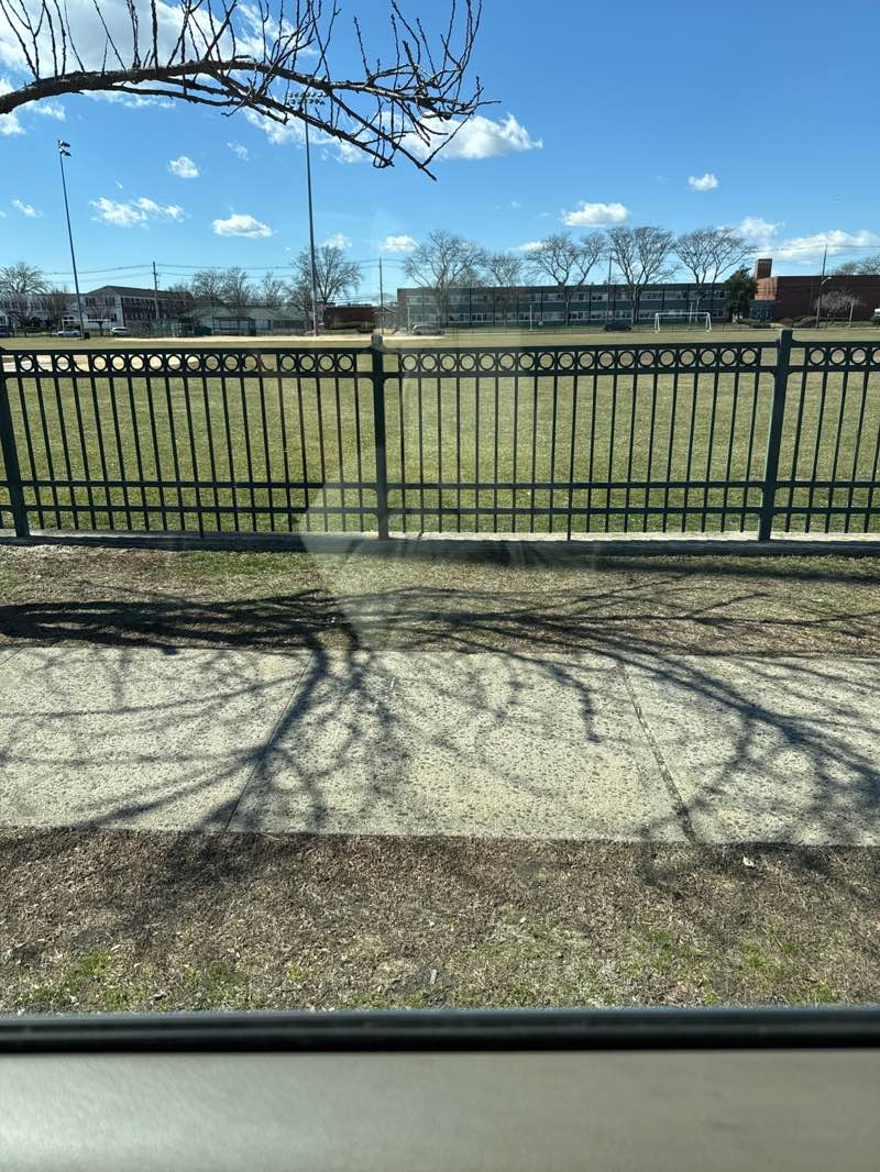 walking near me in Randall Memorial Park in spring