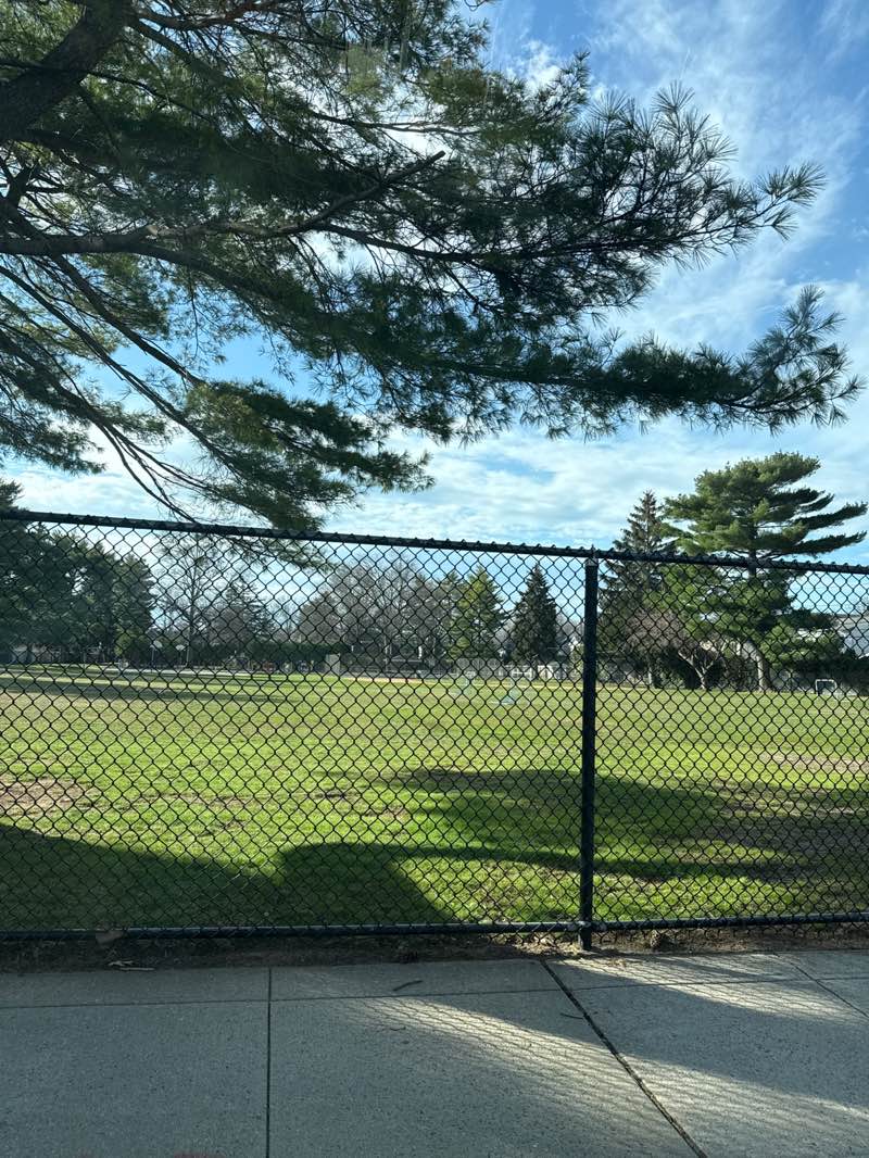 walking near me in Hemlock Playground in spring