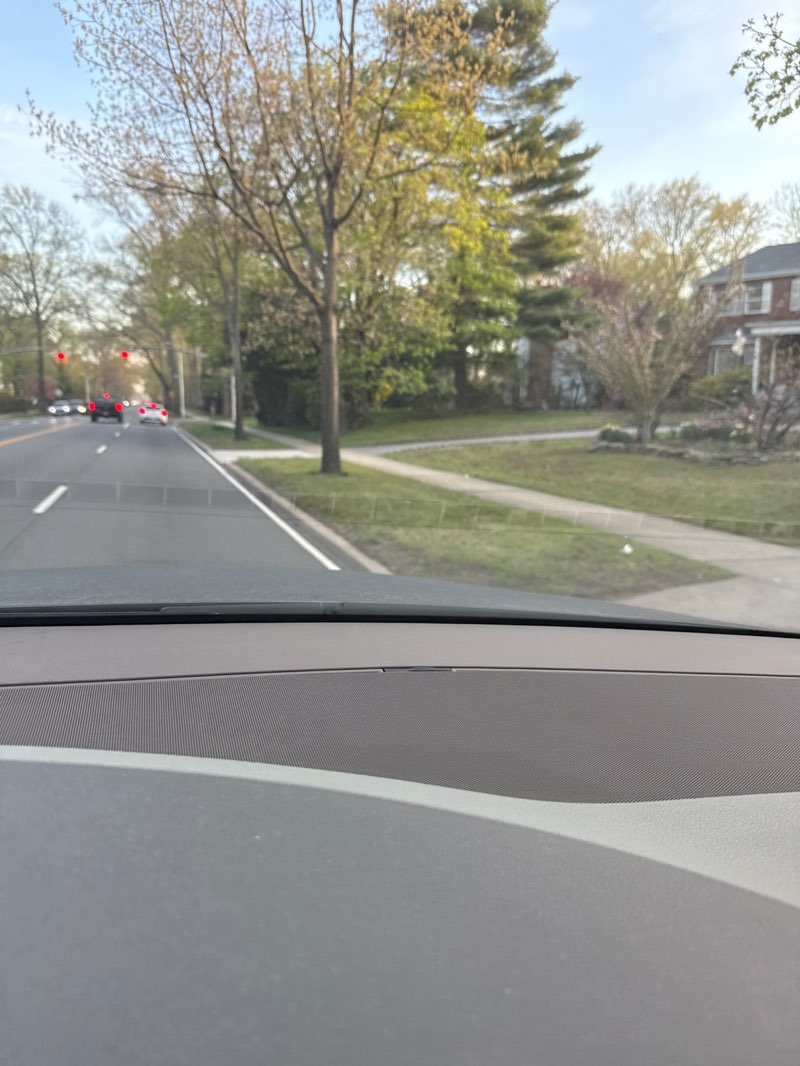 walking near me in Custer Park in spring