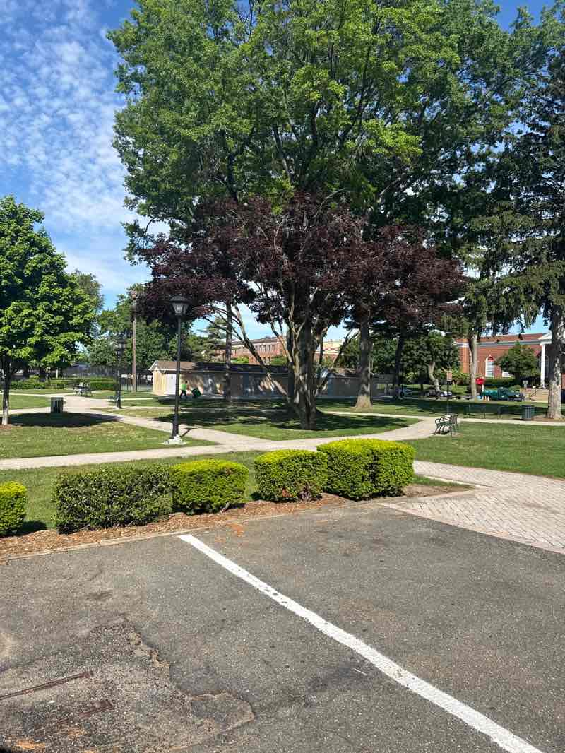 walking near me in Mineola Memorial Park in summer