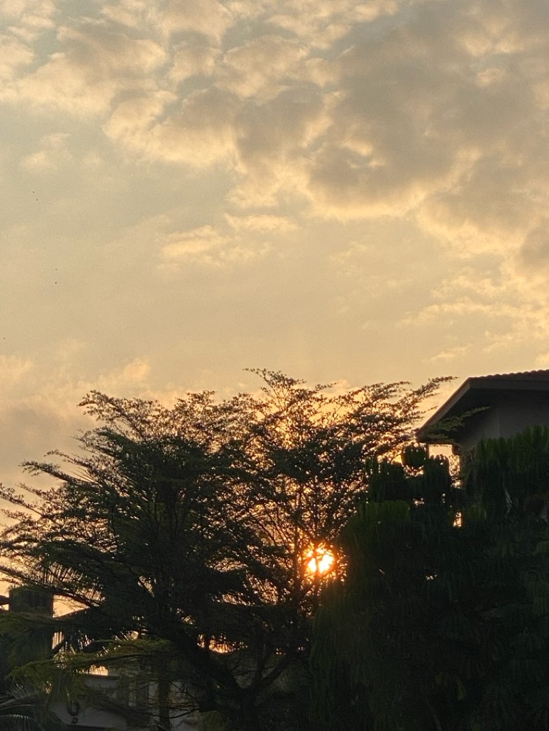 walking near me in Semenyih Lake Country Club in autumn