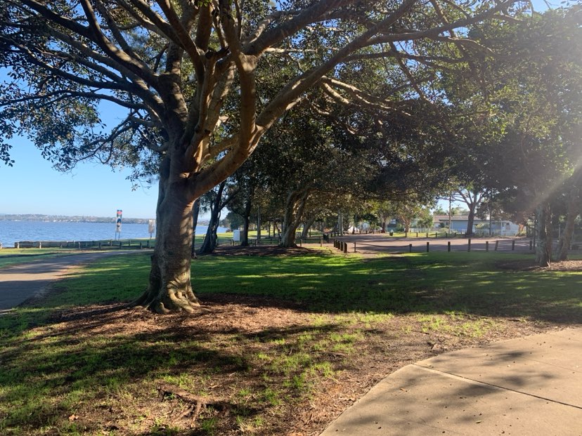 walking near me in Canton Beach Foreshore Reserve in autumn