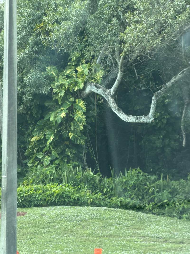 walking near me in Estancia Nature Walk in winter