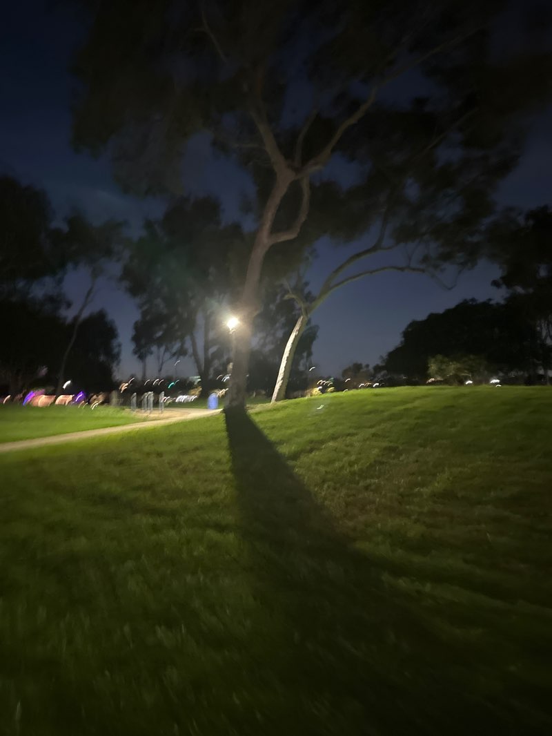 walking near me in Sunnyglen Park in autumn