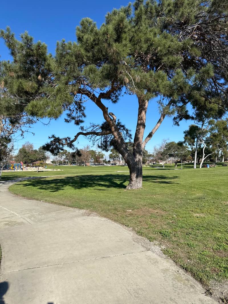 walking near me in Columbia Park in winter