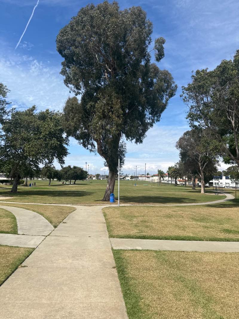 walking near me in Victor Park in spring