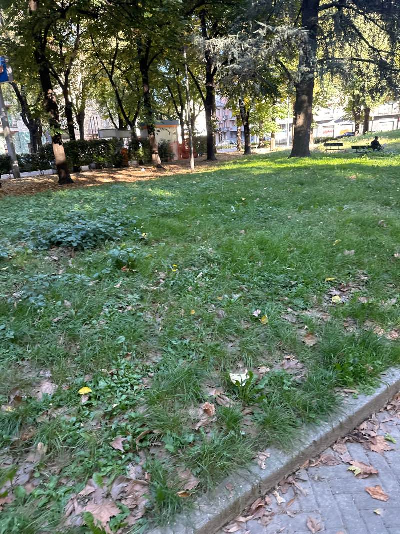 walking near me in Giardino Marino Ferraro in autumn