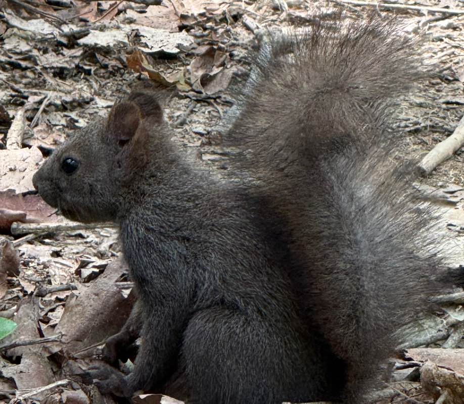 Christian🇰🇷🇧🇷🇪🇸🇺🇸