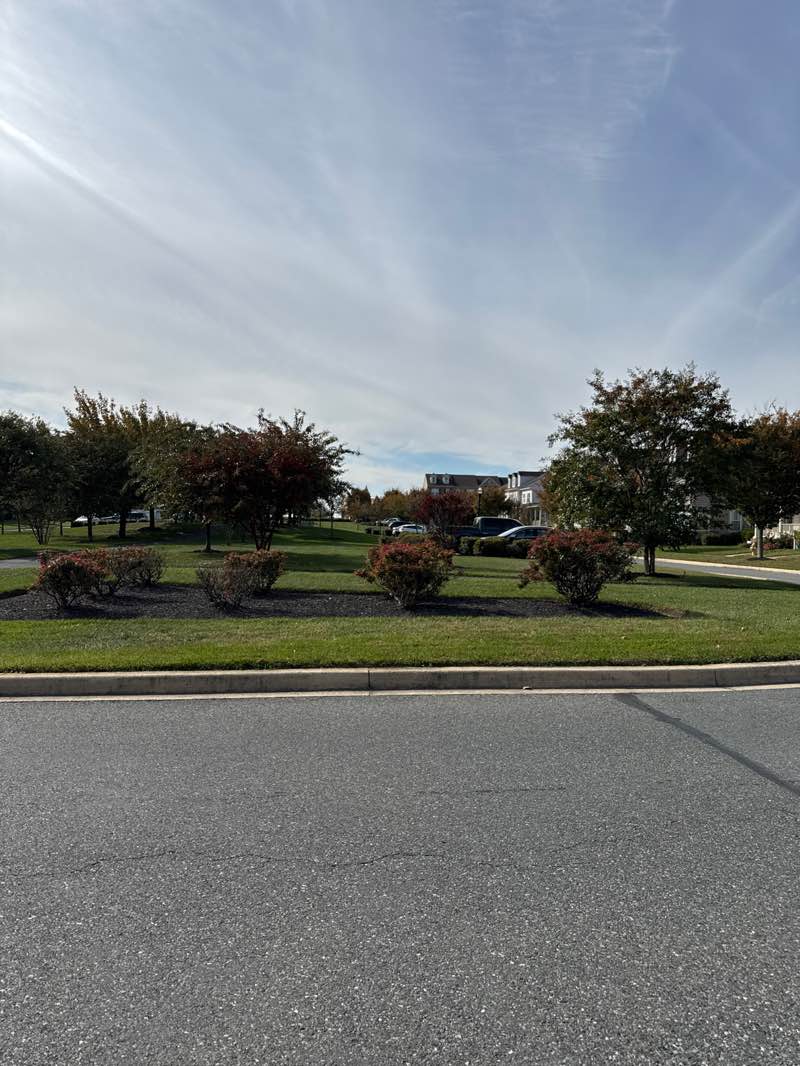 walking near me in North Bayberry Central Green in autumn