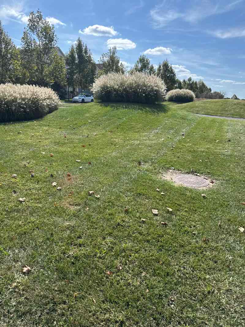 walking near me in Bayberry North Central Green in autumn