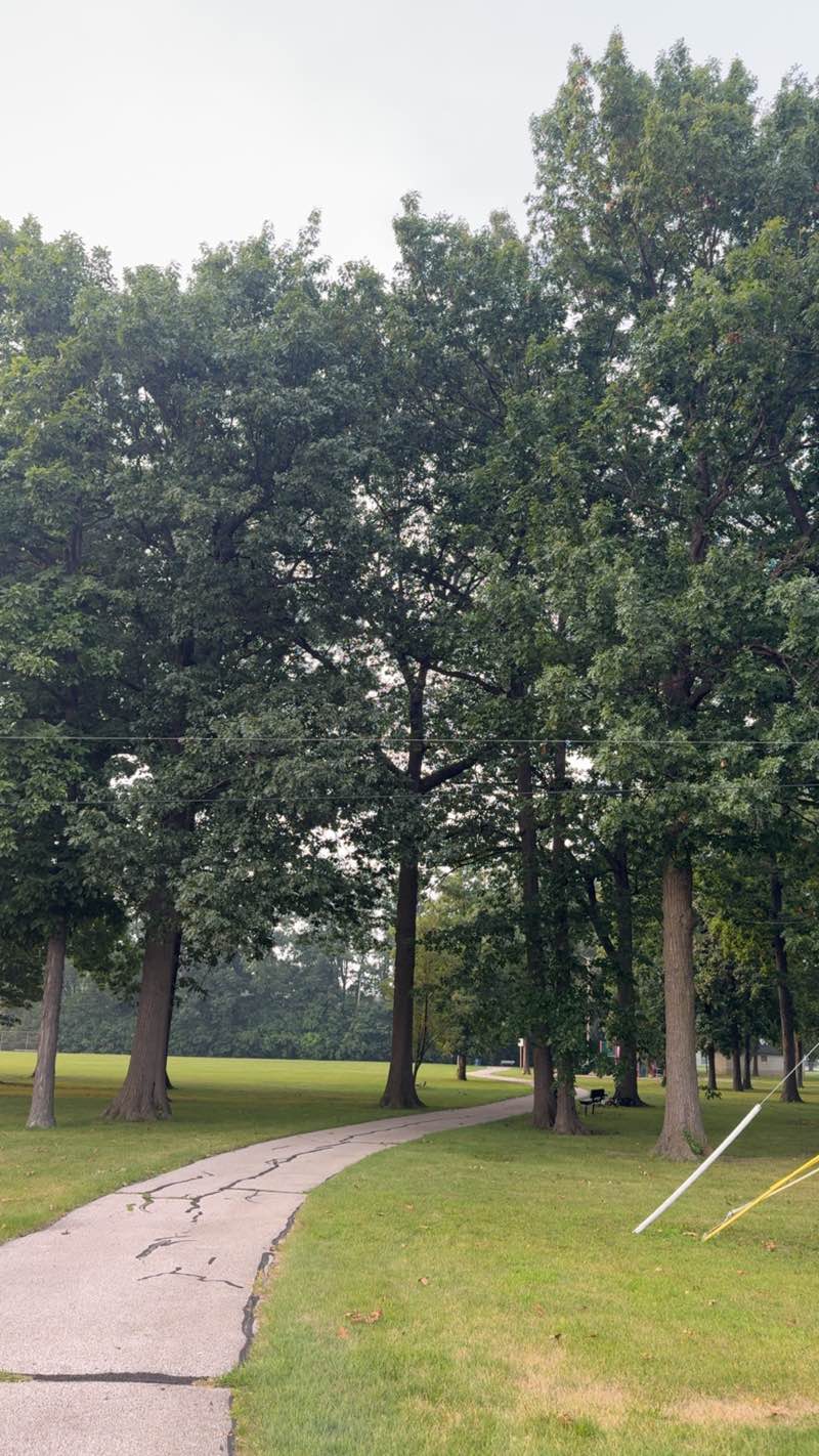 walking near me in Dooley Park in autumn