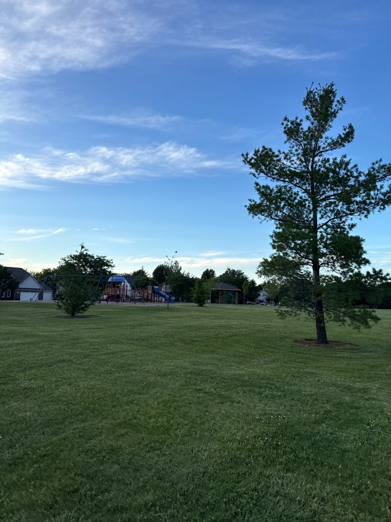 walking near me in Brooklyn Park in summer