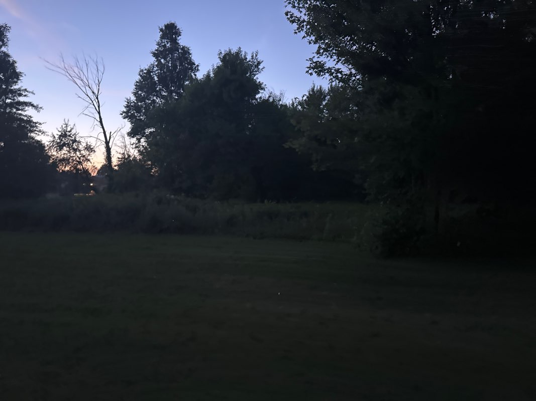 walking near me in RO Park in summer