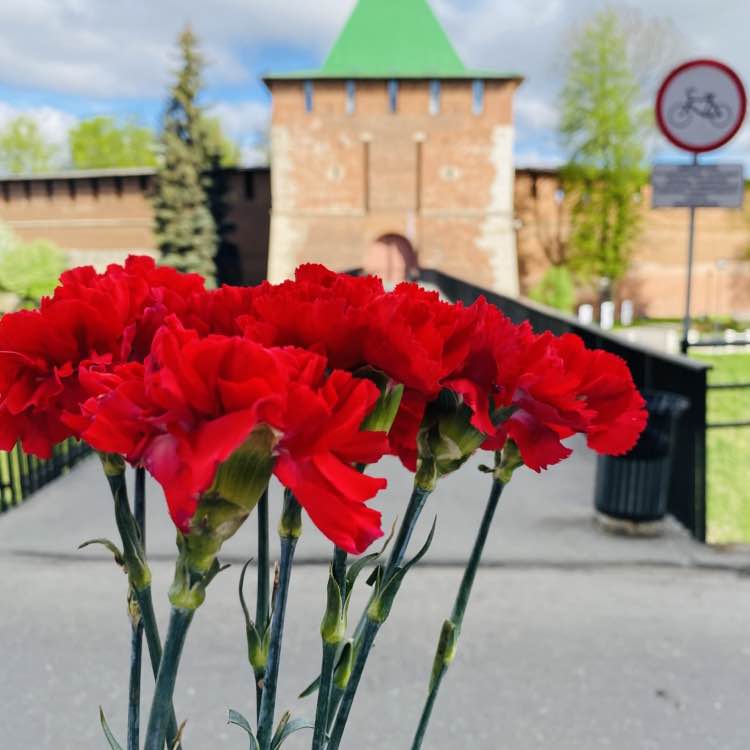 Sashstyle Александр post 1