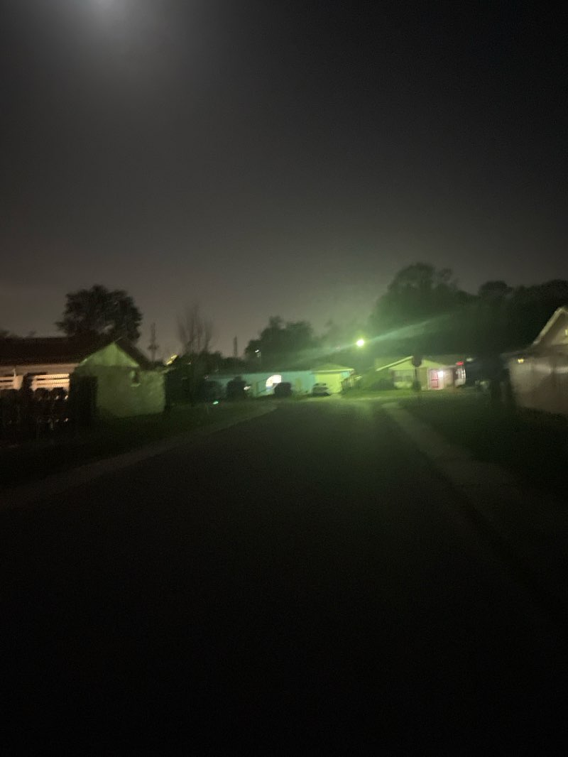 walking near me in Werner-Boyce Salt Springs State Park in summer