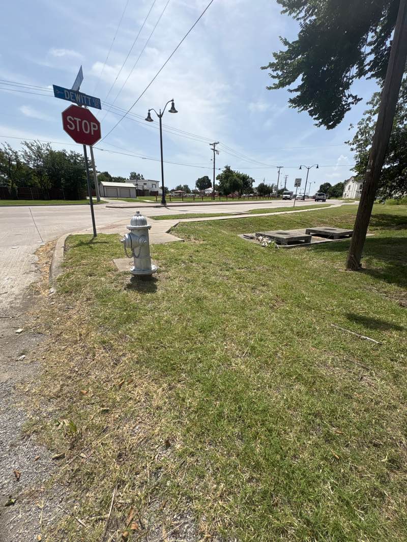 walking near me in Firefighter Park in summer