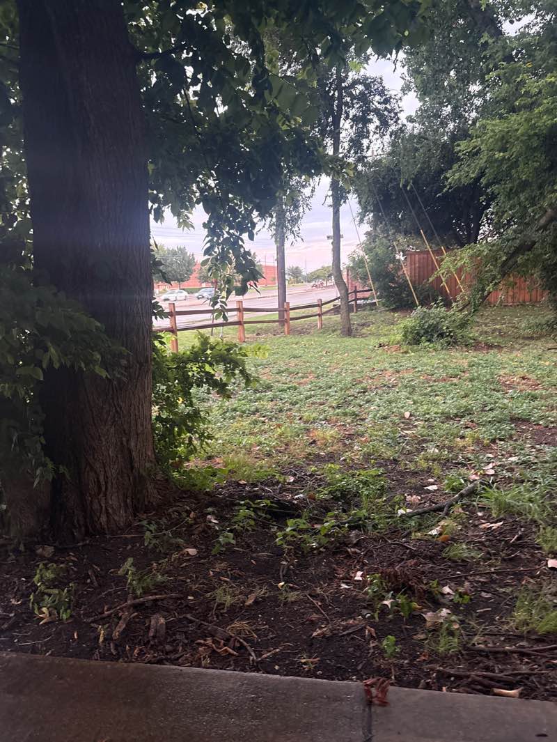 walking near me in Brentwood Park in summer